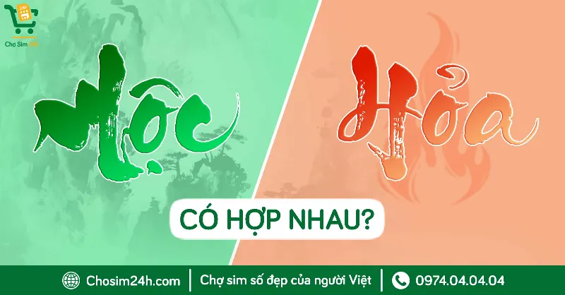 Ngọn lửa bùng cháy từ gỗ - Mộc sinh Hỏa